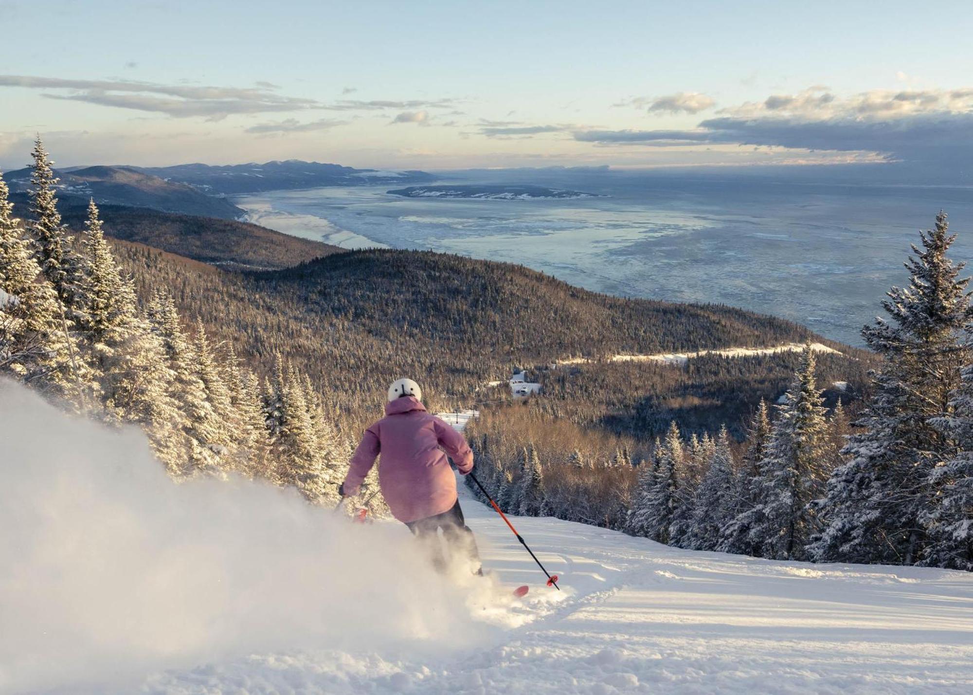 La Shred - 5Min Massif, Foyer, Spa Petite-Riviere-Saint-Francois Exterior photo